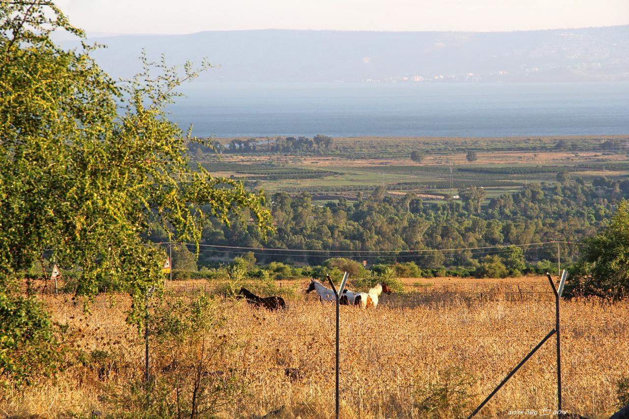 Nof Kinneret Cabins Had Nes Ngoại thất bức ảnh