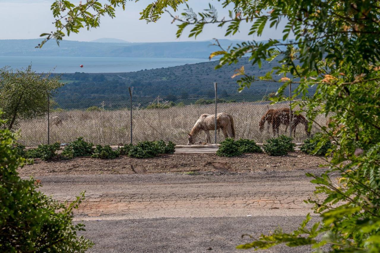 Nof Kinneret Cabins Had Nes Ngoại thất bức ảnh