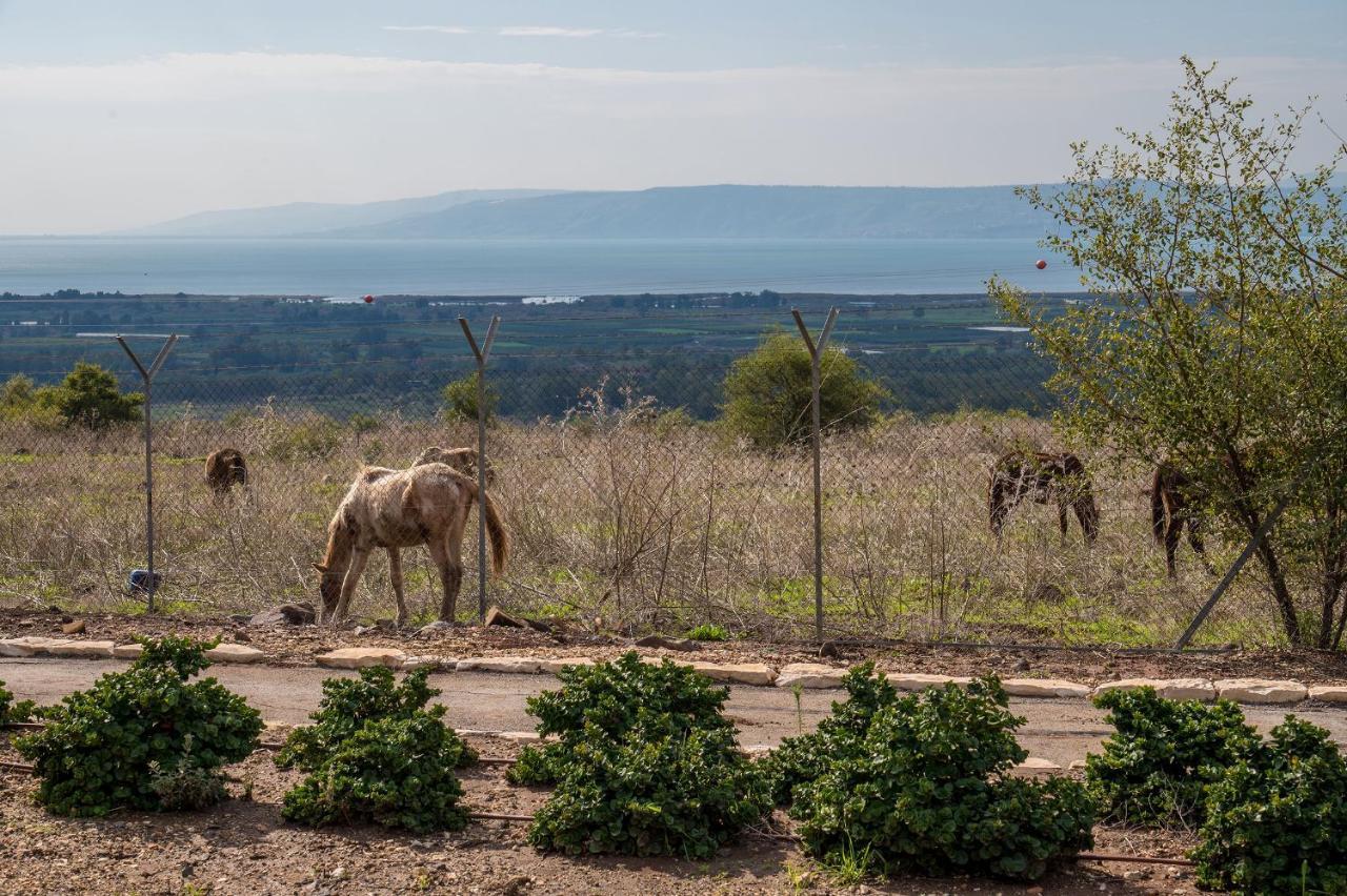 Nof Kinneret Cabins Had Nes Ngoại thất bức ảnh